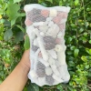Combo 1kg Túi Lọc Ngân Kéo 5 Loại: Sứ Nhẫn Đỏ, Sứ Trắng, San Hô, Nham Thạch, Đá Lông Vũ - Giá 30.800₫ 7