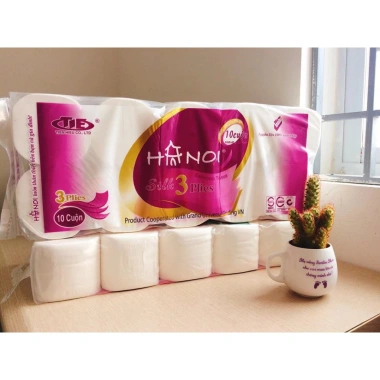 Combo 2 Bịch Giấy Vệ Sinh Hà Nội 20 Cuộn 4 Lớp Siêu Dai Siêu Mịn Không Lõi & Có Lõi Giá 110k