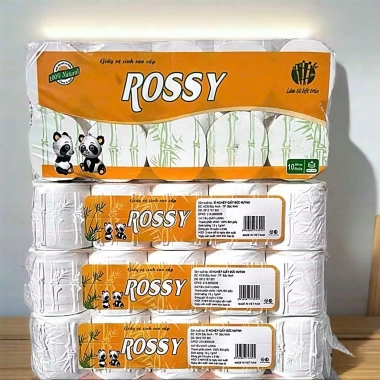 Combo 2 bìch giấy vệ sinh Rossy Gấu Trúc 10 cuộn, có lõi, tặng 01 giấy rút - 78.000₫ 9