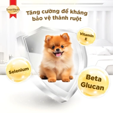 Combo 2 bịch SmartHeart Gold 1kg cho chó nhỏ indoor và tặng 4 gói - Giá 338.400₫