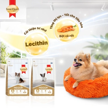 Combo 2 bịch SmartHeart Gold 1kg cho chó nhỏ indoor và tặng 4 gói - Giá 338.400₫