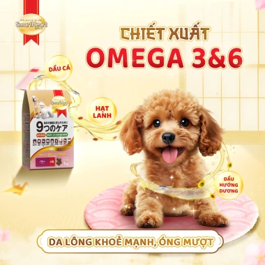 Combo 2 Bịch SmartHeart Gold 1kgx2 + Tặng 4 Gói Nhỏ Thức ăn chó con dinh dưỡng 4