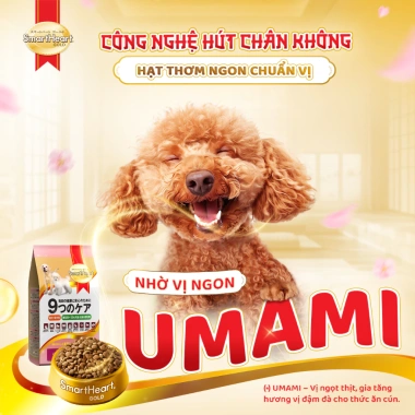 Combo 2 Bịch SmartHeart Gold 1kgx2 + Tặng 4 Gói Nhỏ Thức ăn chó con dinh dưỡng 5
