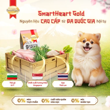 Combo 2 Bịch SmartHeart Gold 1kgx2 + Tặng 4 Gói Nhỏ Thức ăn chó con dinh dưỡng 6