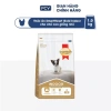 Combo 2 bịch SmartHeart Gold cho chó con giống nhỏ + tặng 4 gói nhỏ - Giá ưu đãi 360k