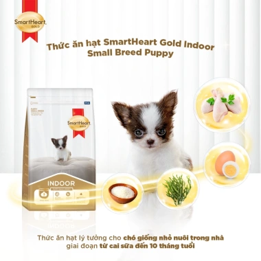 Combo 2 bịch SmartHeart Gold cho chó con giống nhỏ + tặng 4 gói nhỏ - Giá ưu đãi 360k 2