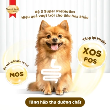 Combo 2 bịch SmartHeart Gold cho chó con giống nhỏ + tặng 4 gói nhỏ - Giá ưu đãi 360k 3