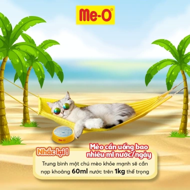 Combo 2 Bịch Thức Ăn Me-O Cho Mèo Con 400g Hạt Vị Cá Biển và Tặng Nón BH HĐ299k Giá 102.600₫ 6