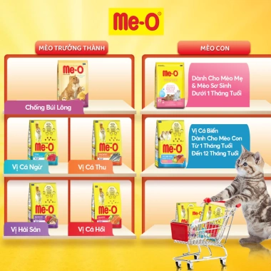 Combo 2 Bịch Thức Ăn Me-O Cho Mèo Con 400g Hạt Vị Cá Biển và Tặng Nón BH HĐ299k Giá 102.600₫ 8