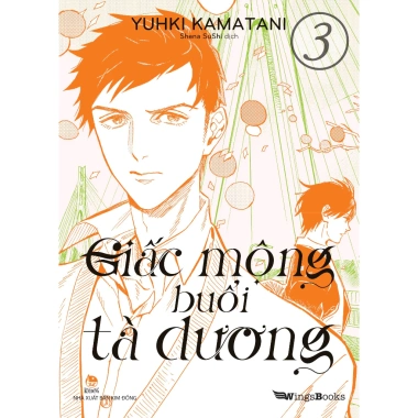 Combo 2 Boxset Truyện tranh Giấc mộng buổi tà dương Tập 1‑4 NXB Kim Đồng - 230.000đ