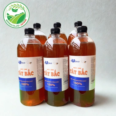 Combo 2 chai Mật Ong Tây Bắc 1.000ml Nguyên chất tự nhiên, đặc sánh, bổ dưỡng - Giá ưu đãi 75.000đ Honey House