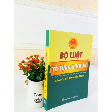 Combo 2 cuốn Bộ luật Hình sự và Tố tụng Hình sự hiện hành - Giá ưu đãi 159,600₫ - ndbooks 6
