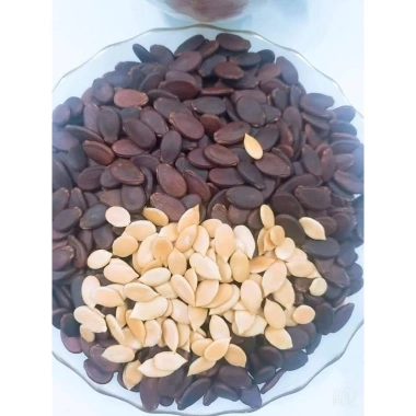 Combo 2 gói hạt dưa rang Cùi Trường Đạt 500gr - Giá 275k, giòn ngon, ăn vặt lý tưởng
