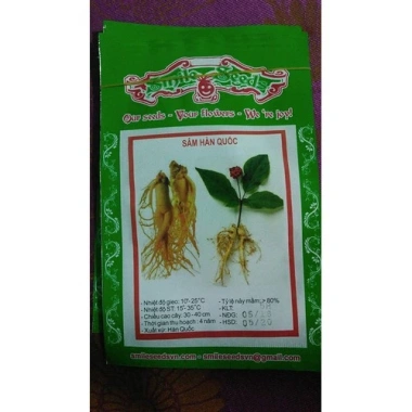 Combo 2 gói Hạt giống nhân sâm Hàn Quốc tặng gói kích hạt nảy mầm, 65.000₫