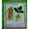 Combo 2 gói Hạt giống nhân sâm Hàn Quốc tặng gói kích hạt nảy mầm, 65.000₫ 6