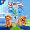 Combo 2 gói SmartHeart cho chó con 1,3kg – Tặng Set Nón và Yếm, giá ưu đãi 225k 2