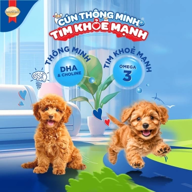Combo 2 gói SmartHeart cho chó con 1,3kg – Tặng Set Nón và Yếm, giá ưu đãi 225k 2 Combo 2 gói SmartHeart cho chó con 1,3kg – Tặng Set Nón và Yếm, giá ưu đãi 225k 2