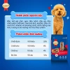 Combo 2 Gói Thức Ăn Hạt SmartHeart Chó Nhỏ Vị Bò Nướng 1,3kg - Tặng Nón và Yếm - 225k 5