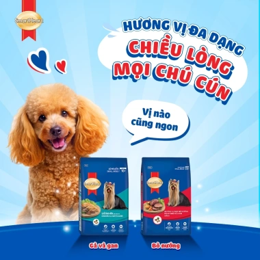 Combo 2 Gói Thức Ăn Hạt SmartHeart Chó Nhỏ Vị Bò Nướng 1,3kg - Tặng Nón và Yếm - 225k 8