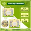 Combo 2 hộp bánh pía Tân Huê Viên 19 vị - Hộp quà hoa may mắn kim sa mini, giảm giá 445.000₫