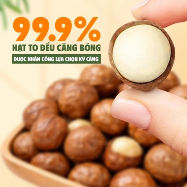 Combo 2 hộp hạt macadamia nứt vỏ Son Nuts 500g Đăk Lăk - Size to, giàu Omega 3, hỗ trợ giảm cân, giá ưu đãi 408.000₫