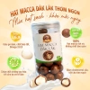 Combo 2 hộp hạt macadamia nứt vỏ Son Nuts 500g Đăk Lăk - Size to, giàu Omega 3, hỗ trợ giảm cân, giá ưu đãi 408.000₫ 7
