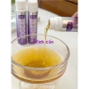Combo 2 hộp Nước Uống Collagen Trắng Da Cà Chua Young Berry 12.000mg 30ml - Giá 530.000₫ 6