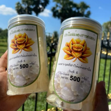 Combo 2 hộp thốt nốt sấy dẻo không tẩm đường 500g - Giá chỉ 279.000đ