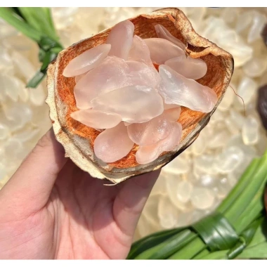 Combo 2 hộp thốt nốt sấy dẻo không tẩm đường 500g - Giá chỉ 279.000đ