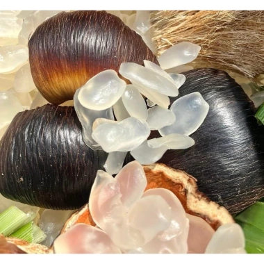 Combo 2 hộp thốt nốt sấy dẻo không tẩm đường 500g - Giá chỉ 279.000đ