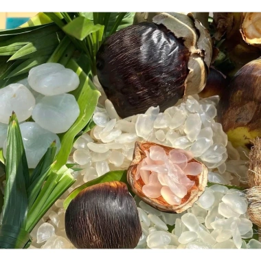 Combo 2 hộp thốt nốt sấy dẻo không tẩm đường 500g - Giá chỉ 279.000đ