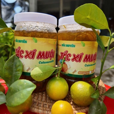 Combo 2 hủ 500g tắc xí muội nhà làm vị chua ngọt, giải khát mùa hè - Đặc sản quê hương giá 100k