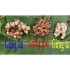 Combo 2 hũ thủy tinh Viên Ngậm Gừng, Viên Gừng & Trà Gừng Gió Nhà Chạm Vị Tây Nguyên Giảm Giá 129k 8