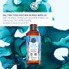 Combo 2 sữa tắm gel Yves Rocher 400ml hương oliu và biển - Giá ưu đãi 510.000đ 6