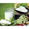 Combo 2 Túi Tỏi Phi 500g + 1 Túi Bột Sắn Dây 500g – Thơm Ngon, Vàng Giòn, Giá Ưu Đãi 292.000₫ 7