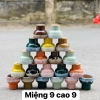Combo 20 chậu trồng cây để bàn - Không gian xanh mini, giá ưu đãi 319.000₫