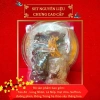 Combo 20 set Nguyên liệu Cung Đình chưng yến và Saffron Giá 110.000 VNĐ ưu đãi 5