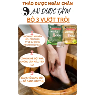 Combo 200 Túi Lọc Ngâm Chân An Dược – 100 Túi Ngải Cứu + 100 Túi Gừng Già – Giảm Đau Xương Khớp 169.000₫ 7