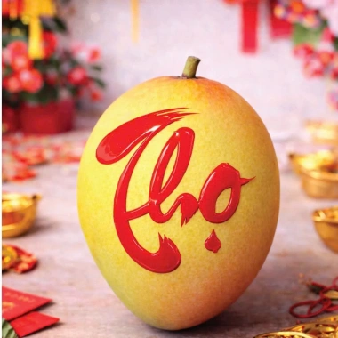 Combo 2+1 Tem Dán Tết May Mắn Trái Cây Nhỏ Bền Chắc Chống Nước Khó Trôi, Khó Phai 10 Combo 2+1 Tem Dán Tết May Mắn Trái Cây Nhỏ Bền Chắc Chống Nước Khó Trôi, Khó Phai 10