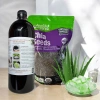 Combo 28 ly Trà Bí Đao Nha Đam - Cốt 1L, Nha Đam 1kg, Hạt Chia 100g Giá ưu đãi 165k