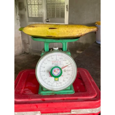 Combo 2kg Chuối Tá Quạ Cắt Bỏ Cùi - Giá 65.000 VNĐ, Tiết Kiệm, Giao Nhanh