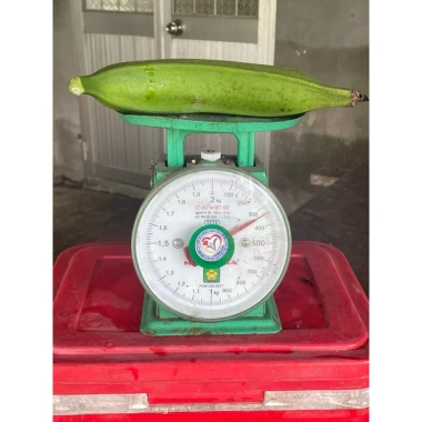 Combo 2kg Chuối Tá Quạ Cắt Bỏ Cùi - Giá 65.000 VNĐ, Tiết Kiệm, Giao Nhanh