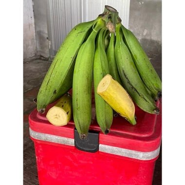 Combo 2kg Chuối Tá Quạ Cắt Bỏ Cùi - Giá 65.000 VNĐ, Tiết Kiệm, Giao Nhanh