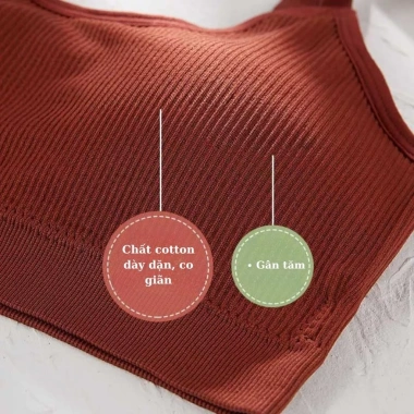 Combo 3 áo bra cotton gân tăm mút sẵn, dây điều chỉnh - LANIXA B1.182 165.300đ