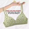 Combo 3 Áo Ngực Không Gọng Mút Liền Cotton Họa Tiết Dễ Thương Giá Chỉ 245.000 VND 6