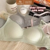 Combo 3 Áo Ngực Không Gọng Mút Mỏng Nâng Đỡ Nhẹ, Cotton Mềm Không Hằn - AMYBRA A414 189k 5
