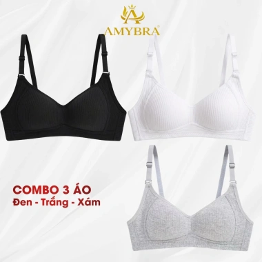 Combo 3 Áo Ngực Không Gọng Mút Mỏng Nâng Đỡ Nhẹ, Cotton Mềm Không Hằn - AMYBRA A414 189k
