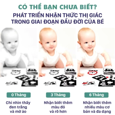 Combo 3 Bộ Tranh Thẻ Gấp TNBOOKS Kích Thích Thị Giác Bé 0-12 Tháng Giá 21.500đ