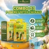 Combo 3 bột detox kale dứa mật ong - Đẹp da, giảm cân cho người tập gym | FIT4EVER