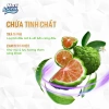 Combo 3 Chai Nước Lau Bề Mặt Đa Năng MaxKleen 520ml - Giá chỉ 81.000₫, siêu sạch, tiết kiệm 5